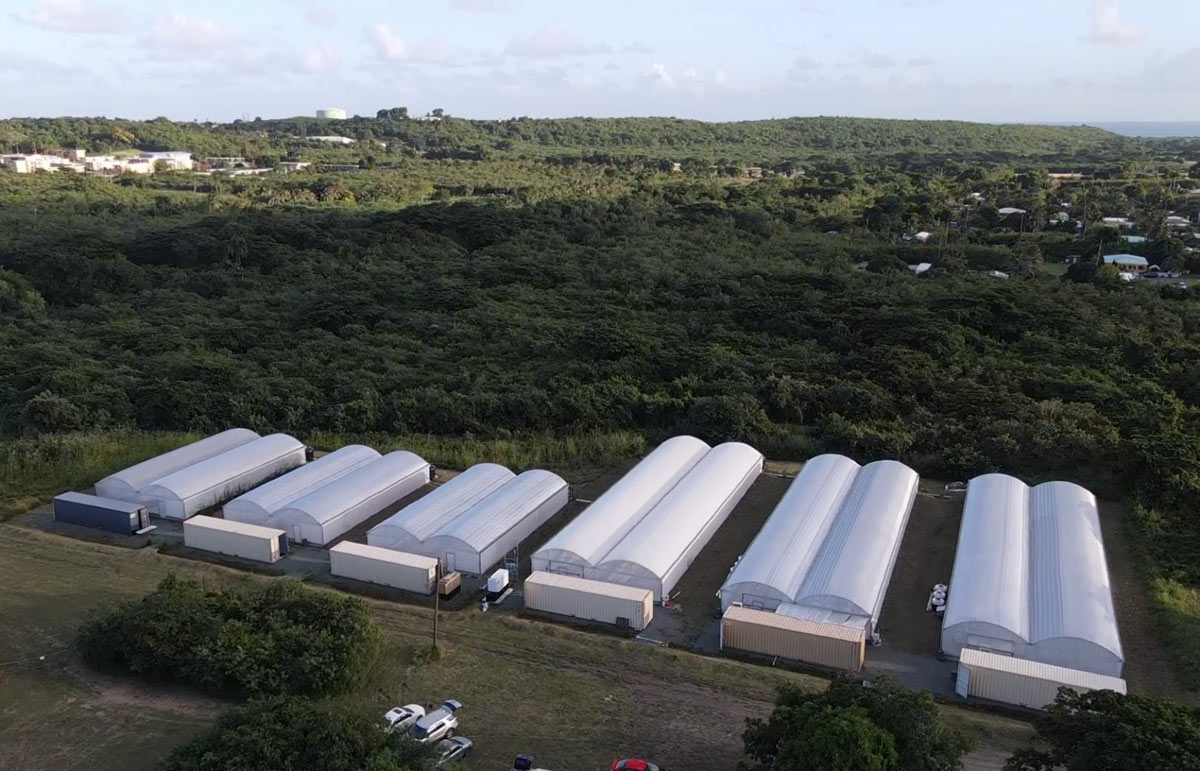 greenhouses