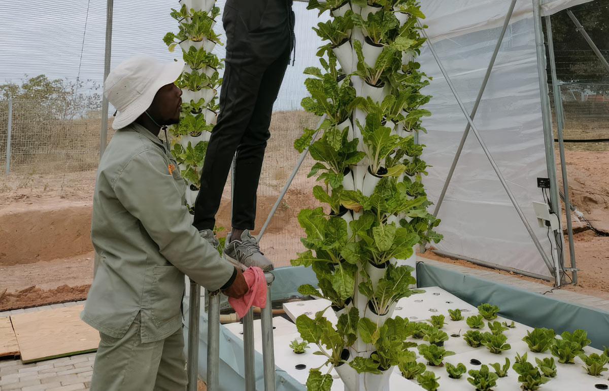 tending vertical tower